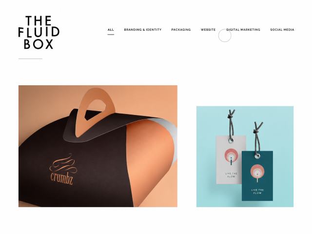 The Fluid Box website preview
